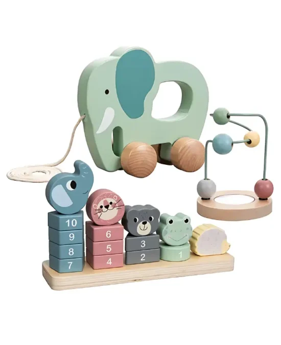 EduMonti Montessori Wooden Educational Toy Trio Set Main Image