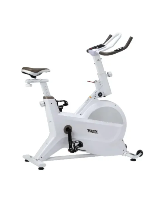 Teloon Spin Exercise Bike 9801C