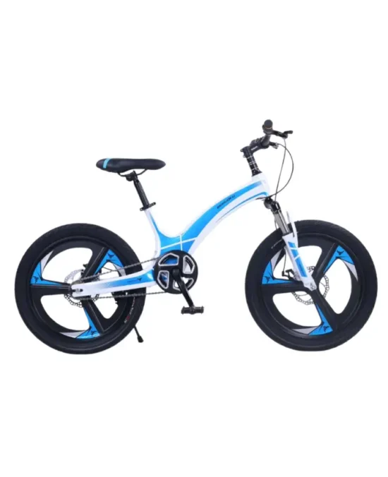 BravoExpress Velocity 20″ Kids Bicycle 1 (1)